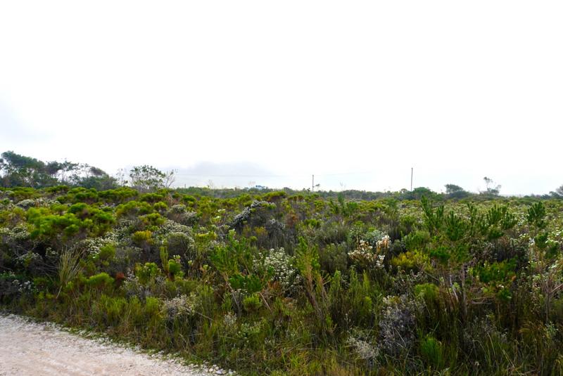 0 Bedroom Property for Sale in Bettys Bay Western Cape